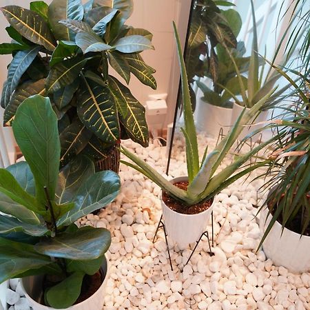 Les Shared Home Nannestad Zewnętrze zdjęcie